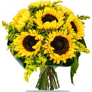 Elegant Sunflowers