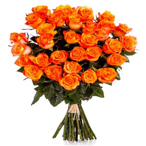 Orange Roses (per stem)