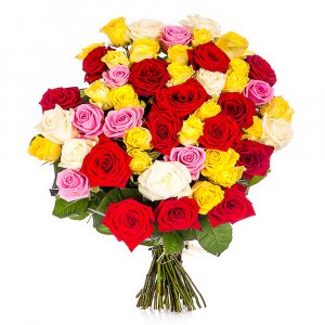 Multi-Colour Roses (per stem)