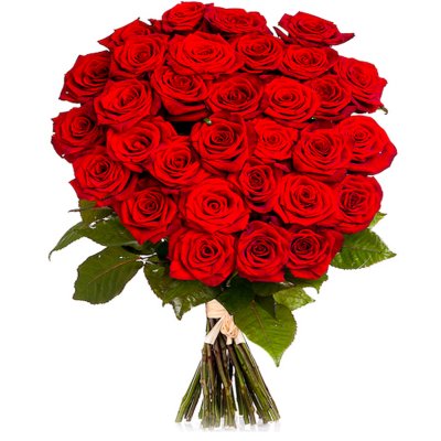 Red Roses