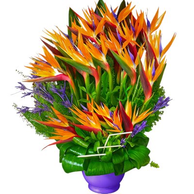 Exotic Bird of Paradise Arrangement