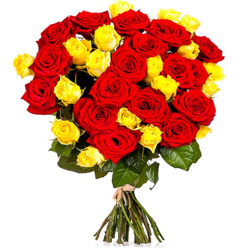 Red & Yellow Roses (per stem)