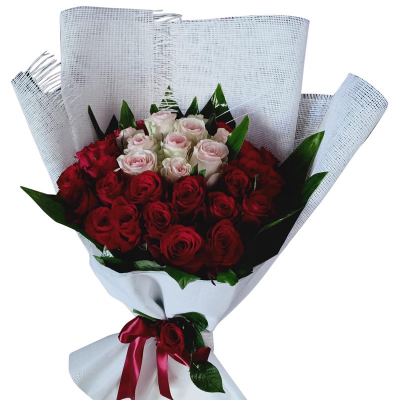 Luxury Red & Pink 30 Roses