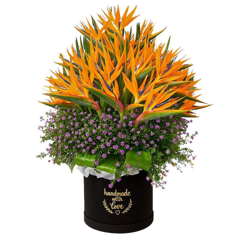 Luxury Arrangement of 36 Bird of Paradise