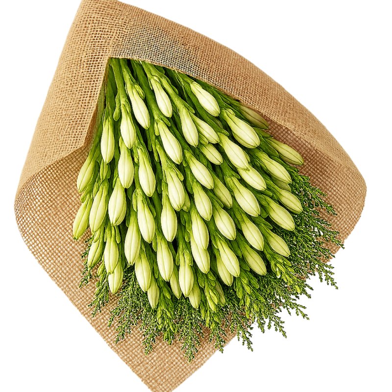 White Tuberose Bouquet